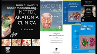 Descargar libros de anatomía PDF Gratis Laterjet I y II 4ta ed/Moore 8va ed/Netter 6ta ed/Testut screenshot 2