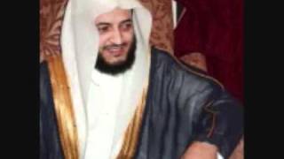 الشيخ هاني الرفاعي _ سورة عبس والتكوير