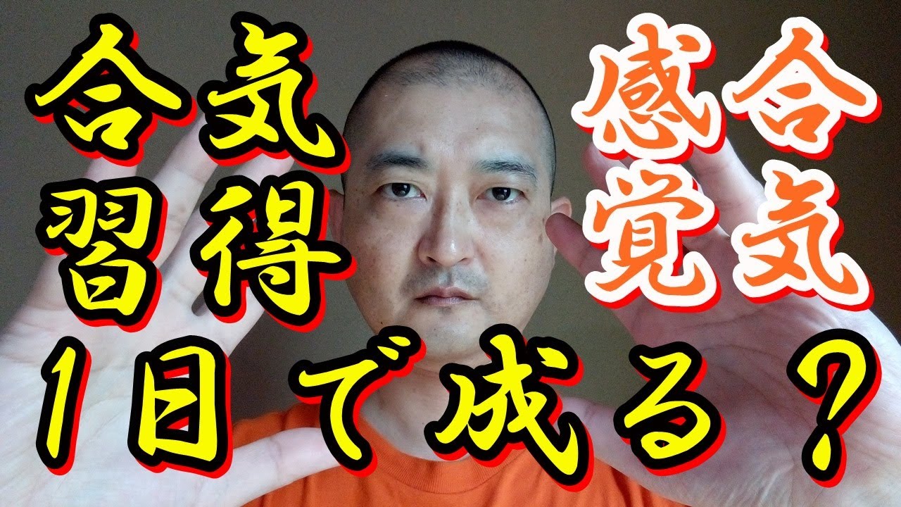 合気という現象を解き明かす 合気という現象を解き明かす
