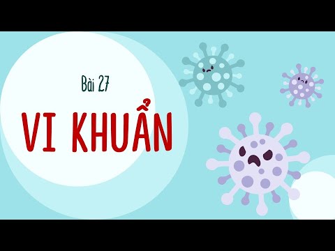 Video Bài 27. VI KHUẨN (phần 2) - Khoa học tự nhiên lớp 6 -... - youtube