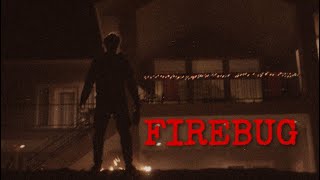 FIREBUG Net Worth