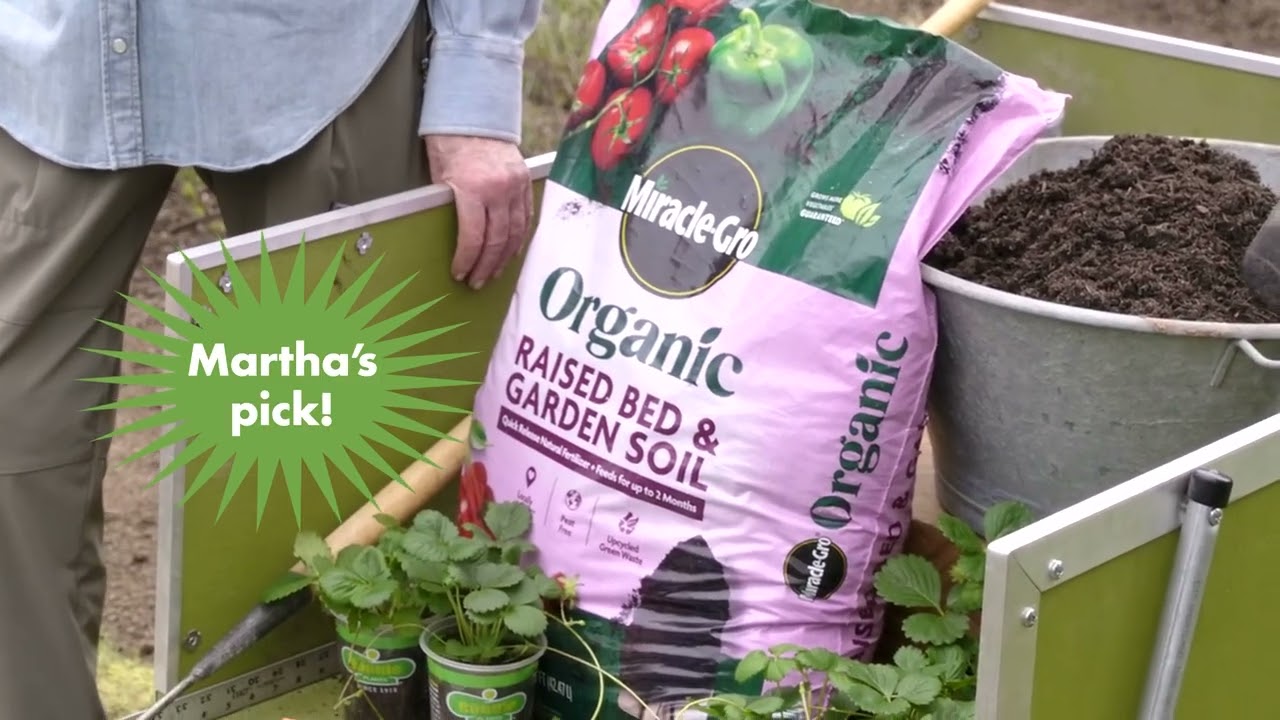 ASK MARTHA: Why Are Raised Beds So Popular?