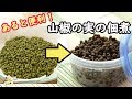 山椒の実の佃煮を作り置き♪冷蔵庫にあるとすぐ使えて便利！炊きものの味がコレで決まる！ 料理 レシピ 簡単