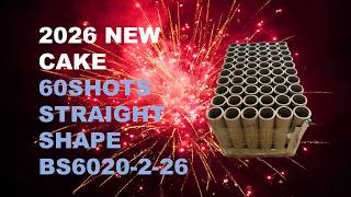 2026 NEW BS6020-2-26 20*25*125MM 60SHOTS STRAIGHT SHAPE F2 CAKE