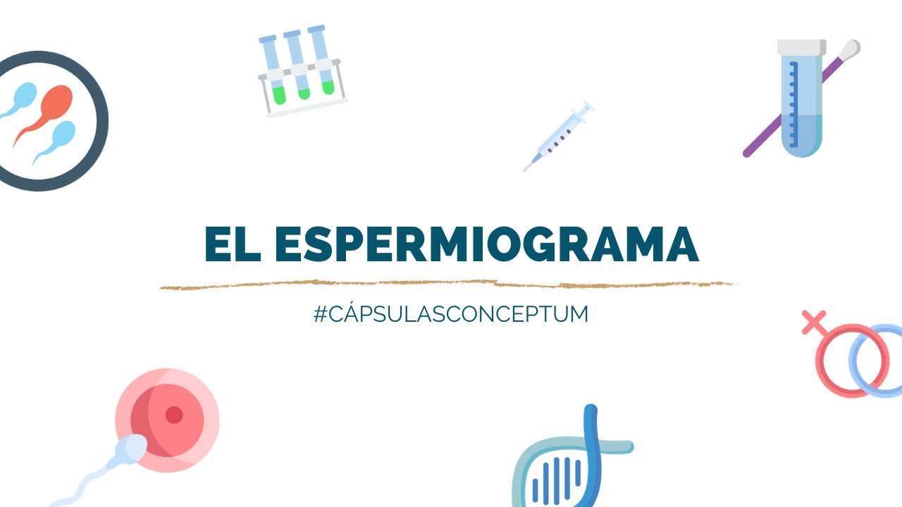 ¿Qué es un espermiograma? Cápsulas Conceptum YouTube