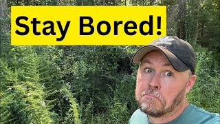 Find A Boring Job If You Want to Be Happy