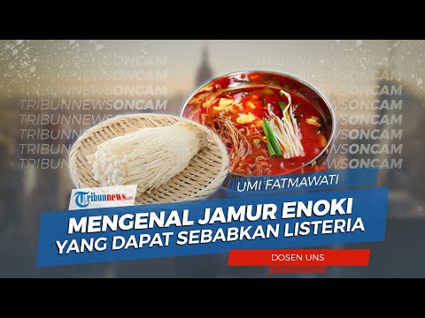 Jamur Enoki Berbahaya Merek Apa