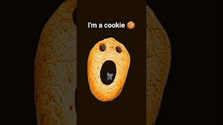 I'm a cookie 🍪#shorts #tutorial #cookies #filter #viral