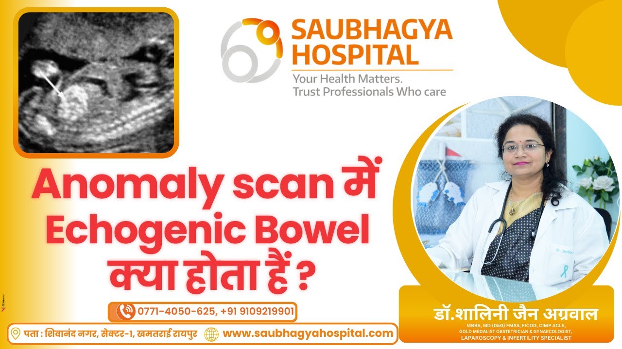 𝐀𝐧𝐨𝐦𝐚𝐥𝐲 𝐒𝐜𝐚𝐧 में 𝐄𝐜𝐡𝐨𝐠𝐞𝐧𝐢𝐜 𝐁𝐨𝐰𝐞𝐥 क्या होता हैं ? 𝐅𝐞𝐭𝐚𝐥 𝐌𝐞𝐝𝐢𝐜𝐢𝐧𝐞 𝐒𝐞𝐫𝐢𝐞𝐬 - 𝟐 