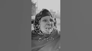 زرعت فدان جمايل وأربعة معروف 