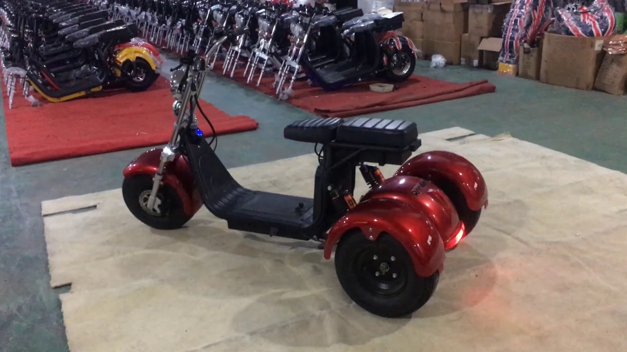 three wheel scooter Rooder r804t with lithium battery from citycoco harley electric scooter factory