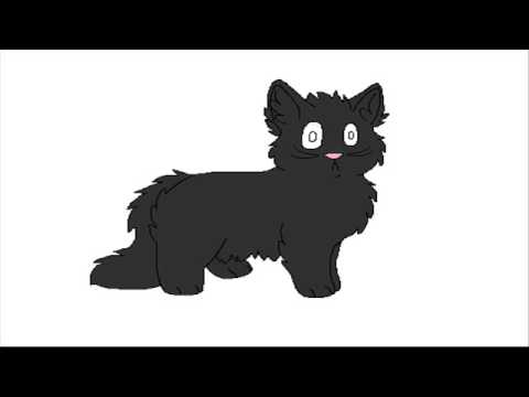 Warriors Wiki - Cinderpelt