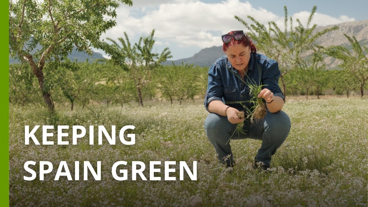 Meet the farmers in southeastern Spain fighting desertification