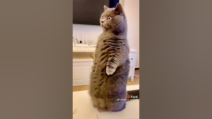 Yo cuando me van a cortar las uñas