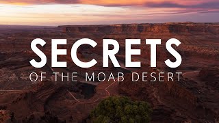 Secrets of the Moab Desert ~ Potholes, Tardigrades & Soil Crust