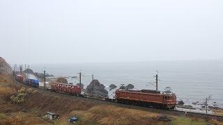 羽越本線 EF81 EF510牽引貨物 2014年3月ダイヤ改正後の運行