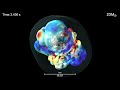 Visualizing the Evolution of the Electron Fraction of a 23-Solar-Mass Star
