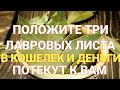 Положите 3 лавровых листа в кошелек для прихода денег