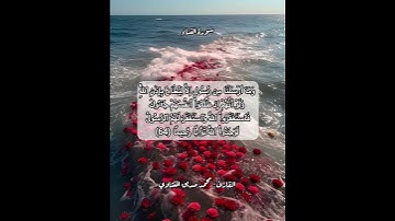 سورة النساء ٦٤ #قرآن #قرآن_كريم #قران #قرآن_كريم #قران_كريم #قرأن #quran
