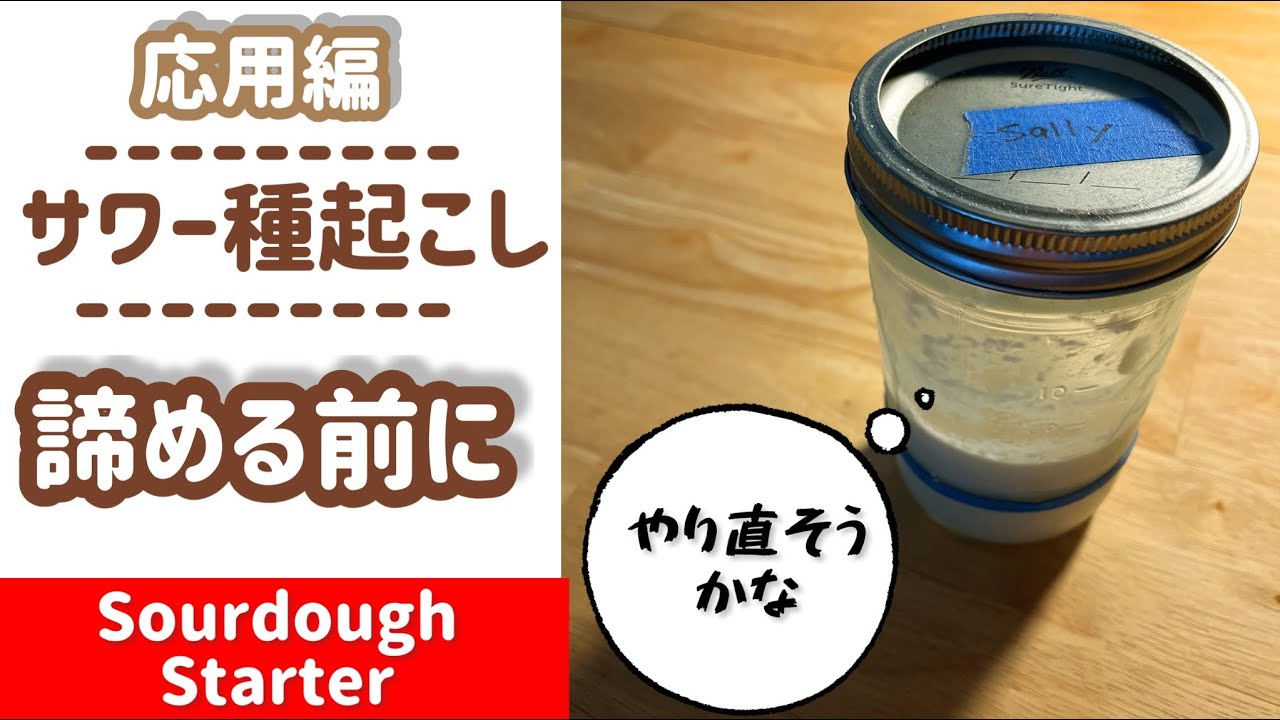 【サワー種/応用編】種起こし諦める前に！How to feed sourdough starter