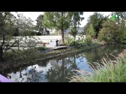 grasland-gärtnerei-in-bergheim-zieverich-im-film.-auf-dem-ehemaligen-gelände-der-baumschule-neumann.