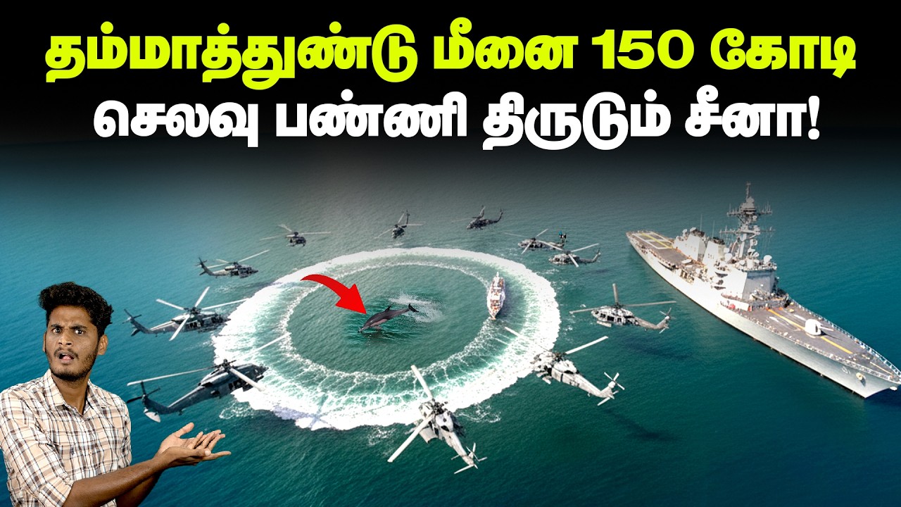😱😱900 கோடி செலவு செய்து மீன்களை காப்பாற்றும் மெக்சிகோ அரசாங்கம் - ஆண்மை மருந்து இந்த மீன்ல இருக்கா?