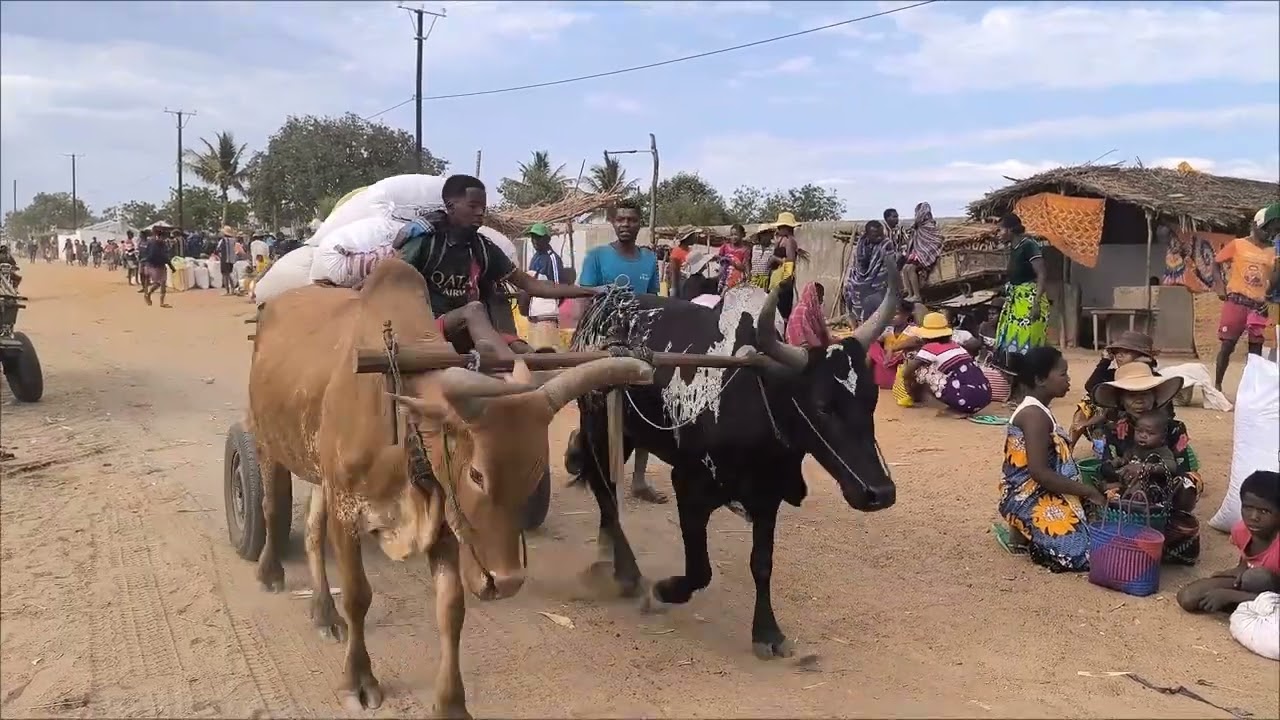 Antanivao Ambahikily