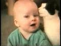 lol met katten