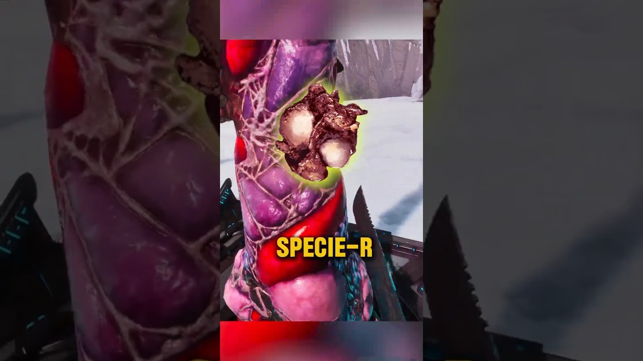 Виды растений R вернулись в затерянную колонию | Ковчег вознёсся