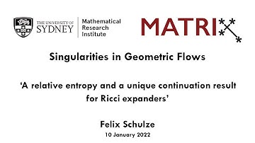Felix Schulze:  A relative entropy and a unique continuation result for Ricci expanders