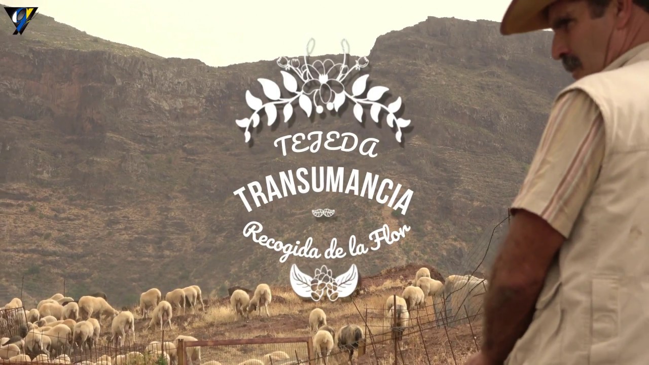 RECOGIDA DE LA FLOR, TEJEDA