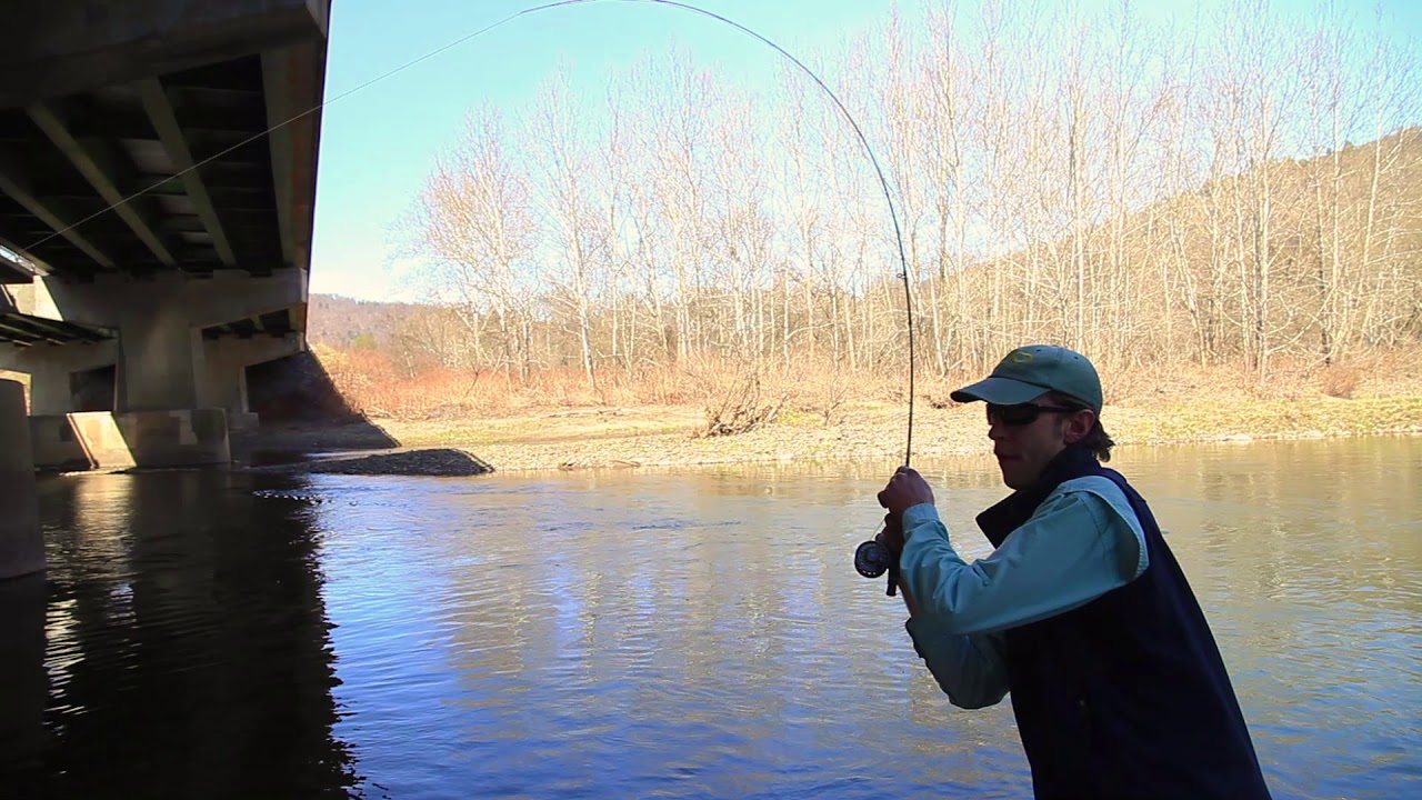 Upper Delaware River Fly Fishing Brown Trout YouTube