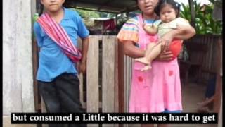 La zarca Sanitation Final Report