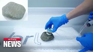 Octopus inspires new suction mechanism for robots