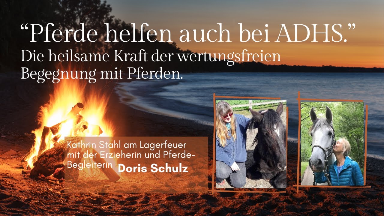 Wertung und Erwartung macht Kinder krank: Pferde heilen, was das Schulsystem kaputt gemacht hat.