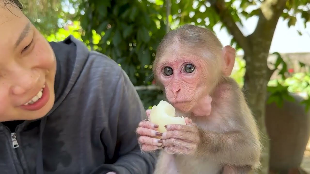 The rare times I captured the most adorable moments of the kaki monkey.