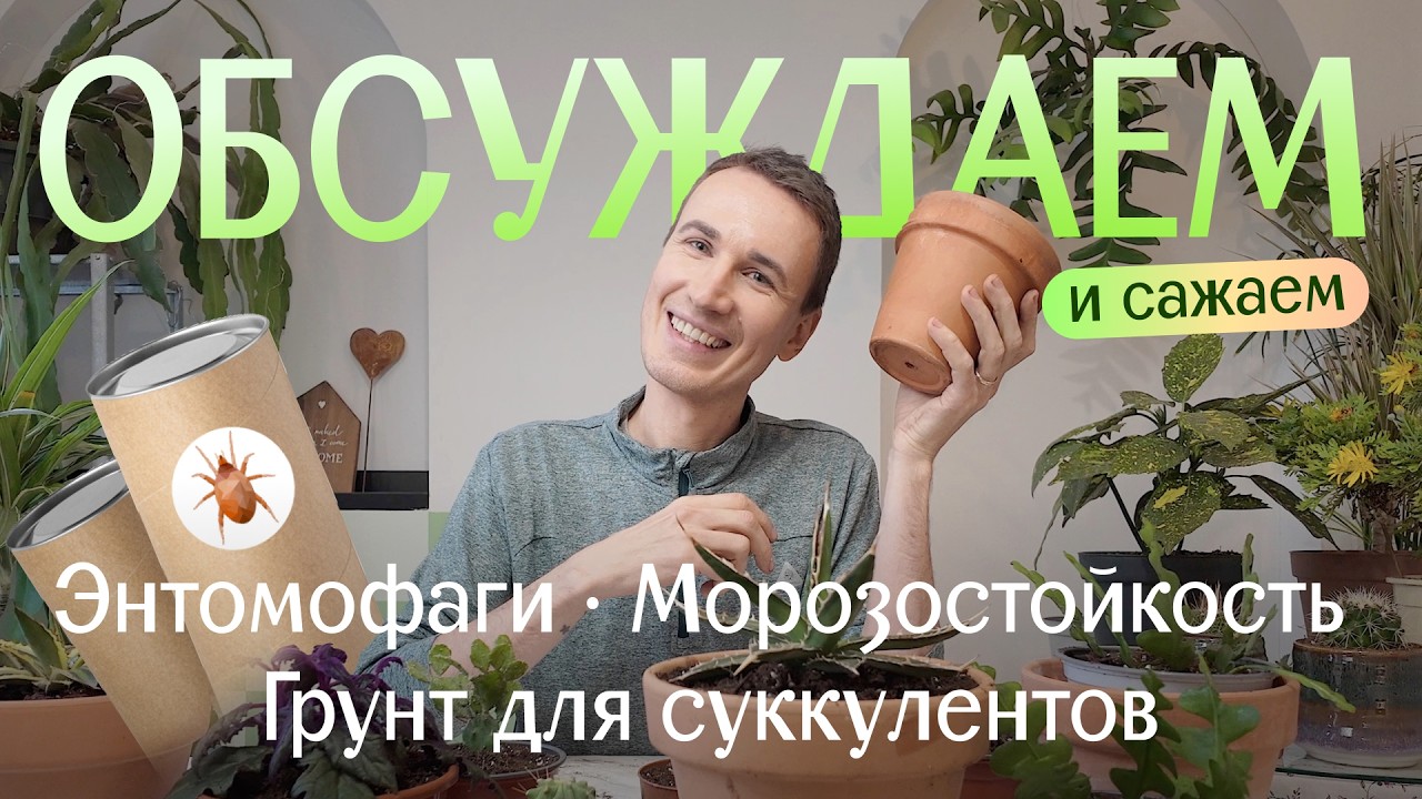 Энтомофаги, морозостойкость и грунт для суккулентов. Обсуждаем и сажаем!