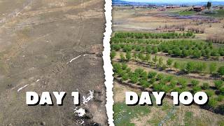 Turning a Desert Hillside Into a Lush Food Forest (Swales)