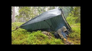 He Turned a Rusted Bus into a Wilderness Home with a Panoramic Roof | Into the Wild Inspired