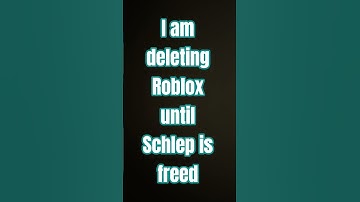 #freeschlep #wgitachi #gamtng
