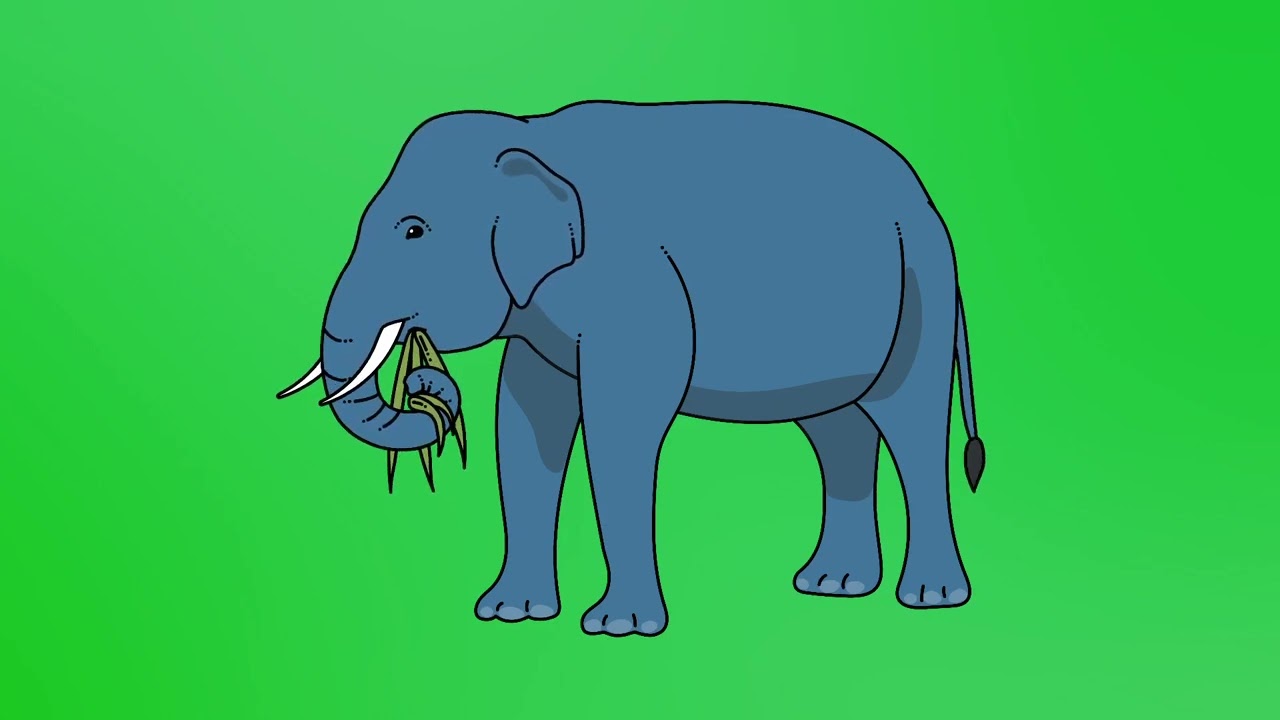 Elegant Animation | Animated Elephant in Green screen | Copyright free | 2d Character Animation 