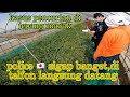 Terjadi lagi Pencurian hasil panenanku di Jepang,Police Sampe Datang #agriculture #japan