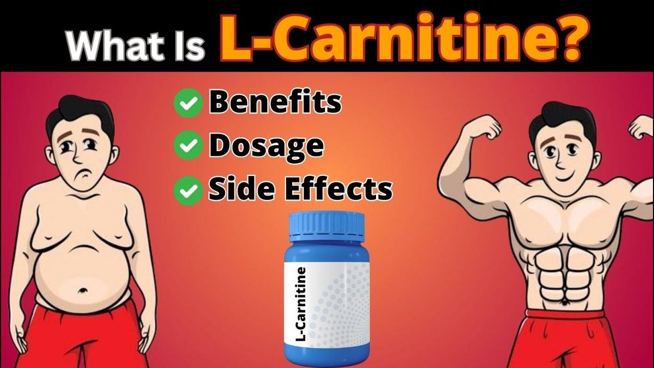 Can I Take L Carnitine At Night What Is L-Carnitine: Benefits, Dosage, And Side Effects | Nikhil