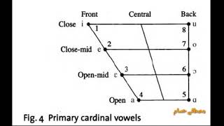 Primary cardinal vowels chart