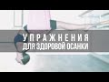 Упражнения для грациозной осанки. Тянемся в удовольствие