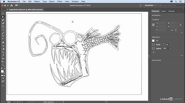 Part-1 || 02 A New Look for Illustrator || Outline mode GPU preview