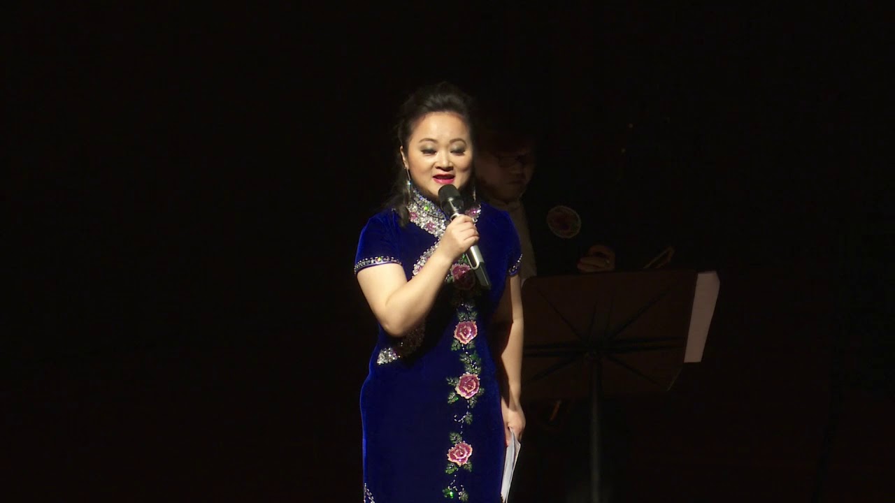 潮音潮曲 名曲名段文艺晚会 11月4日