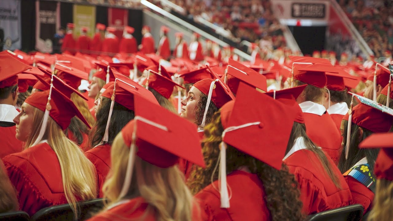 Больше, чем просто диплом | USD