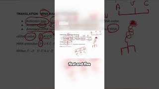 99% Students Get This DNA Concept WRONG 😳 | IMAT Biology