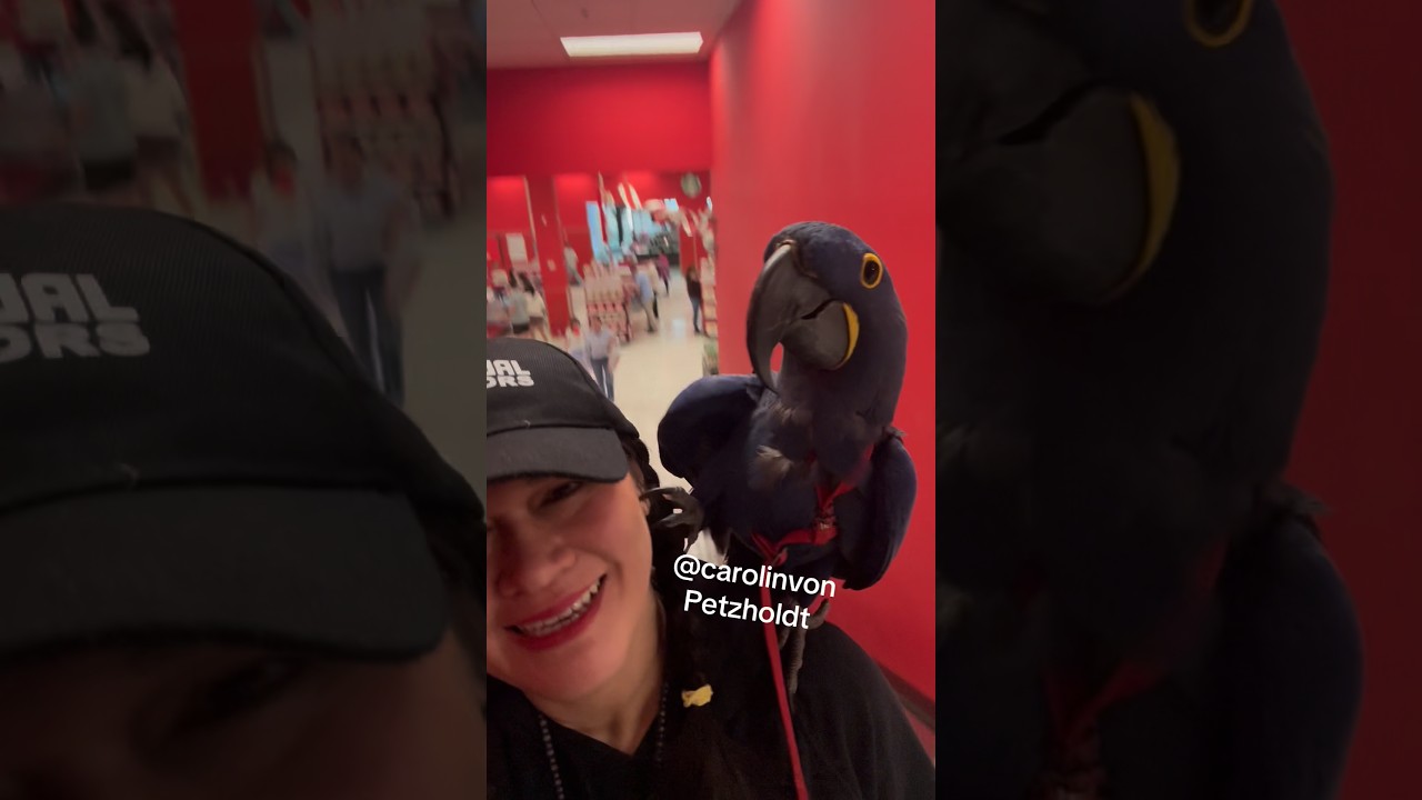 My Birds reaction going up an escalator in Target!